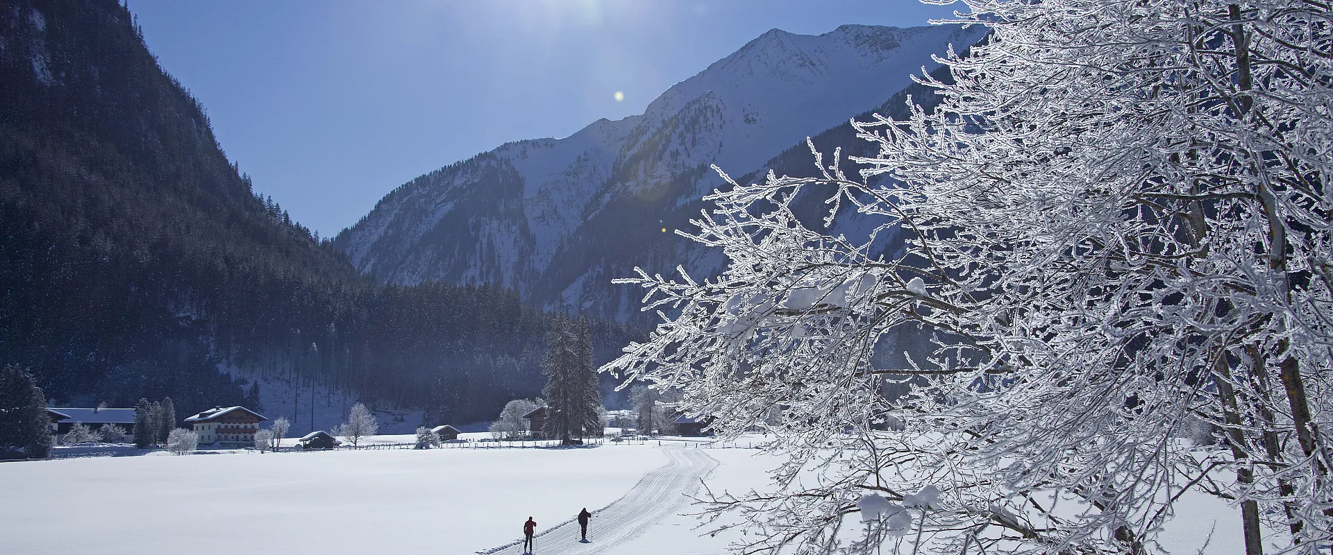 Winterliche Berglandschaft mit schneebedeckten Bäumen und einem klaren blauen Himmel. Zwei Menschen spazieren auf einem schneebedeckten Weg in der Ferne.