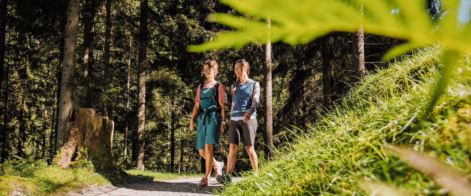 Zwei Personen wandern auf einem Waldweg. Umgeben von hohen Bäumen und grünem Gras, genießen sie offenbar die Natur an einem sonnigen Tag.
