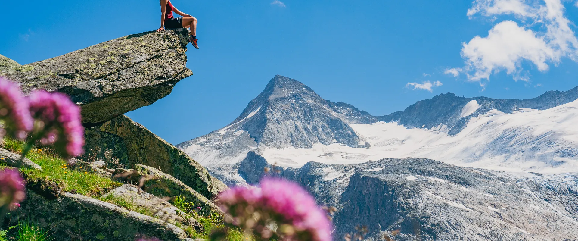 Eine Person sitzt auf einem Felsen in den Alpen, umgeben von bunten Blumen. Im Hintergrund erhebt sich ein schneebedeckter Berg unter einem strahlend blauen Himmel.