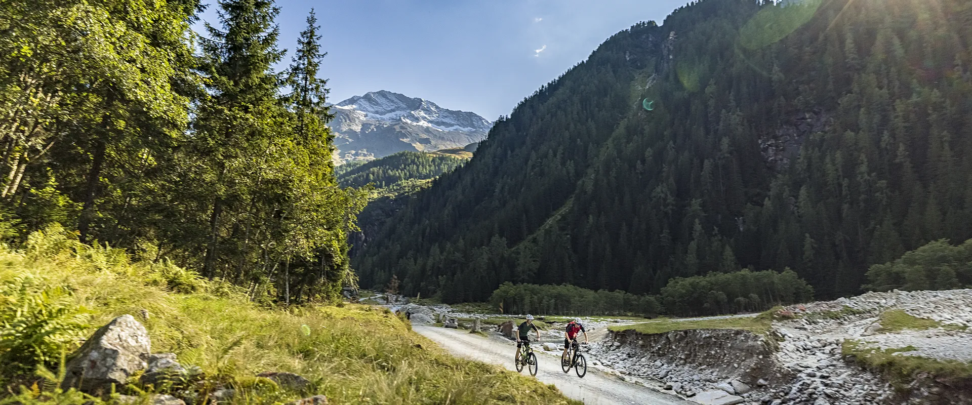 Zwei Radfahrer auf einem Bergweg, flankiert von grünen Bäumen und einem klaren blauen Himmel. Im Hintergrund sind majestätische Berge zu sehen.