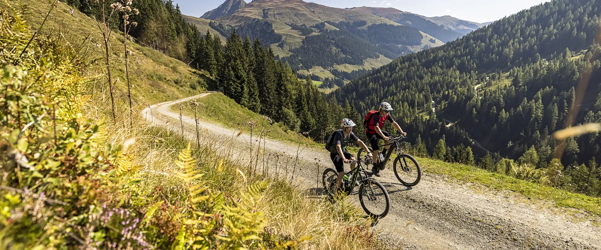 Zwei Mountainbiker fahren auf einem kurvigen Weg in einer malerischen Berglandschaft, umgeben von Wäldern und sonnigen Gipfeln unter einem klaren blauen Himmel.