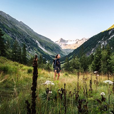 Eine Person steht inmitten einer malerischen Berglandschaft, umgeben von grünen Wiesen und hohen Bergen. Der Himmel ist klar und sonnig, ideal für Wanderungen.
