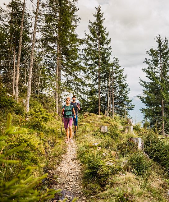 Zwei Personen wandern auf einem schmalen Pfad in einem dichten Wald, umgeben von hohen Bäumen und Bergen im Hintergrund unter bewölktem Himmel.