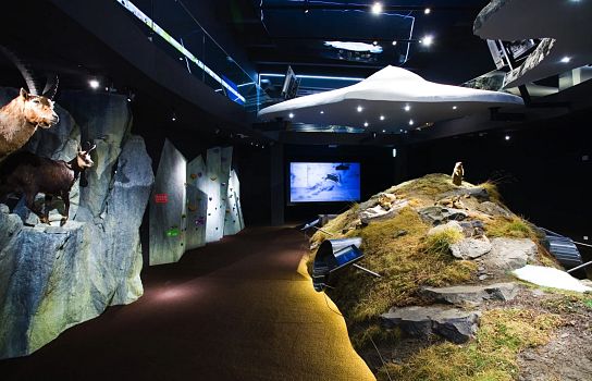 Innenansicht eines modernen Museums mit einer Ausstellung über Natur und Felsen, ergänzt durch interaktive Displays und eine große Leinwand.