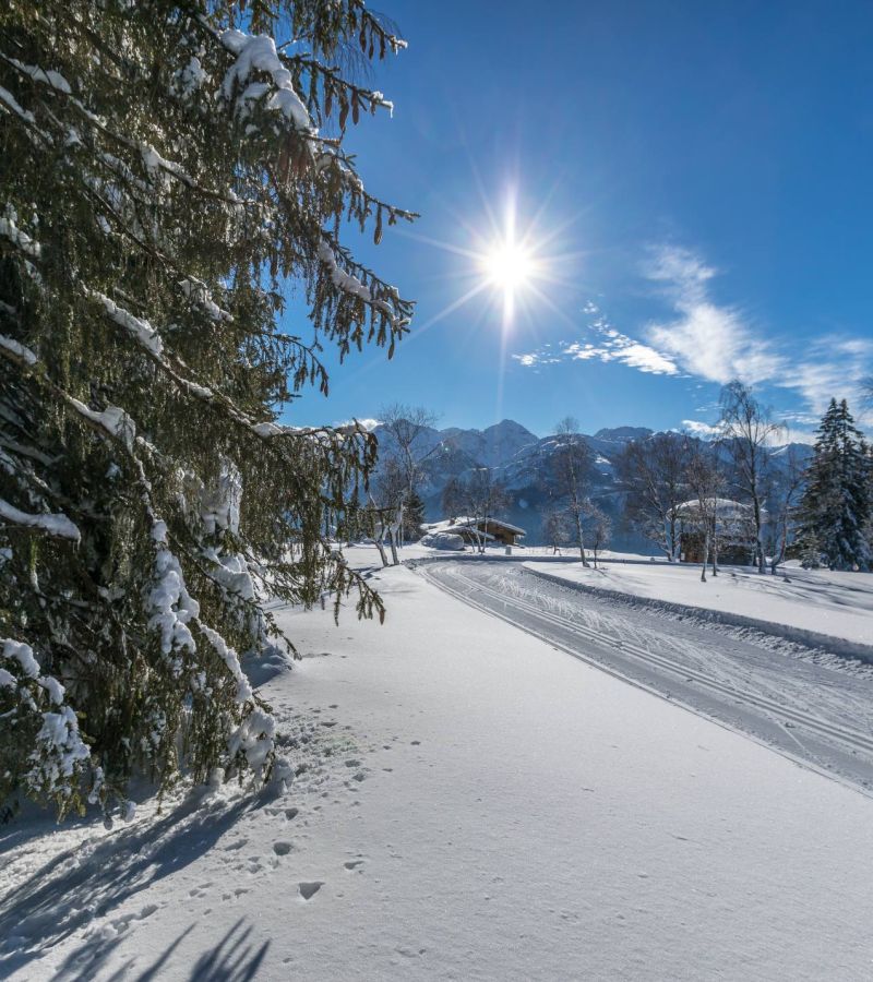 Cross-Country Skiing